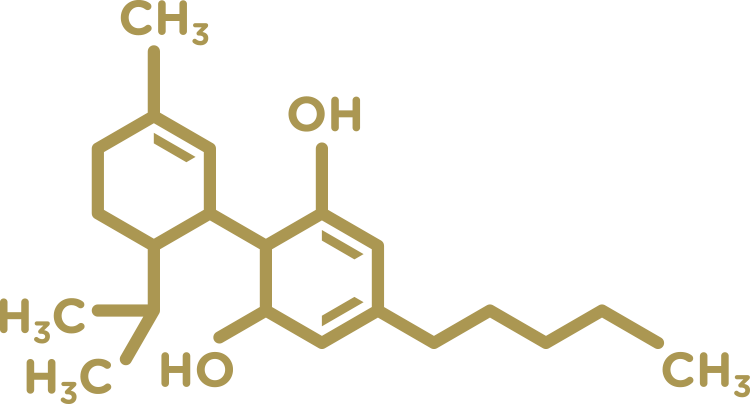 The CBD Molecule